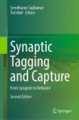 https://syndetics.com/index.aspx