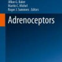 https://syndetics.com/index.aspx