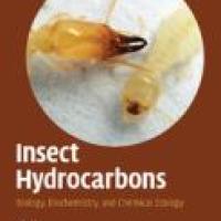 https://syndetics.com/index.aspx