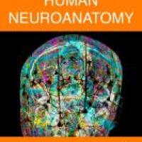 https://syndetics.com/index.aspx
