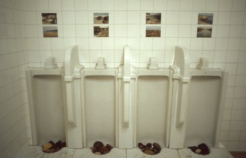 4PNOGUERA2.jpg