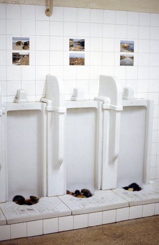 4PNOGUERA1.jpg