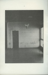 2C1.jpg