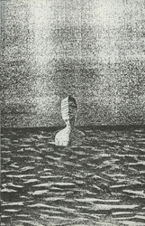 2D8.jpg