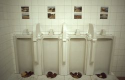 4PNOGUERA2.jpg