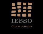 logoieso_bo.jpg
