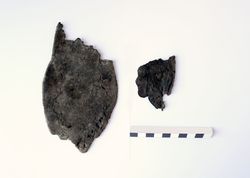 Fig15_SolaSabata_MGuissona_2.jpg