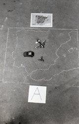NOGUERA2.jpg