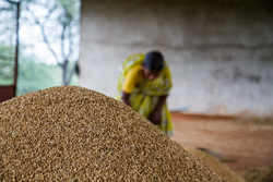 indian_farmers.jpg