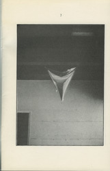 2C2.jpg