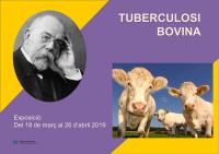 Tuberculosi Bovina