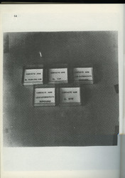 2A44.jpg