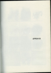 2A38.jpg