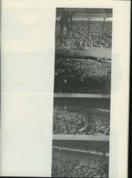 1A9.jpg