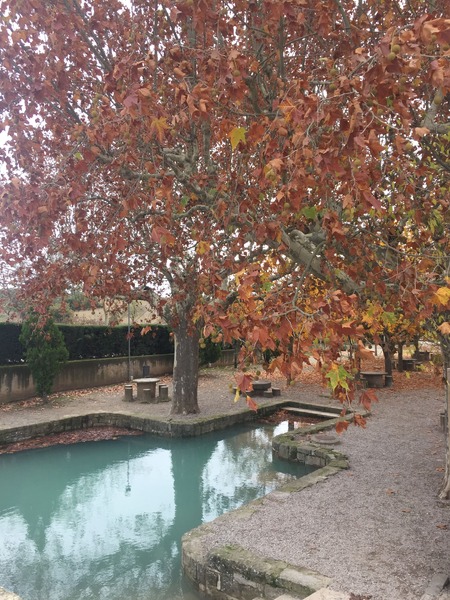 Font de l'Estany de Guissona
