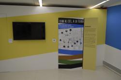 expo_5