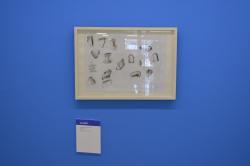 expo_8