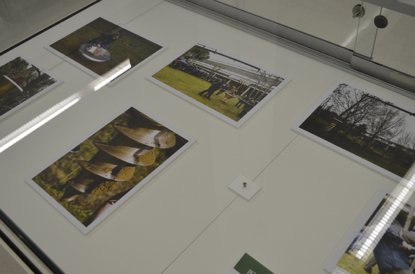 expo_17